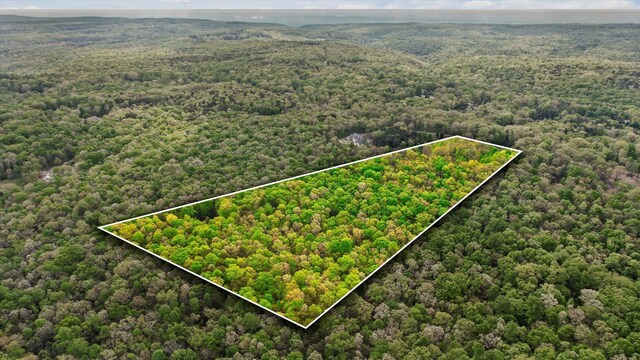6475 Polly Ln, Signal Mountain, TN 37377 - aerial view of property and surrounding area featuring property boundaries highlighted and a heavily wooded area
