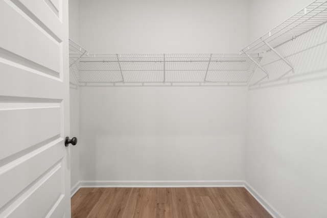 8418 Snowdrop Way, Ooltewah, TN 37363 - walk in closet featuring wood finished floors