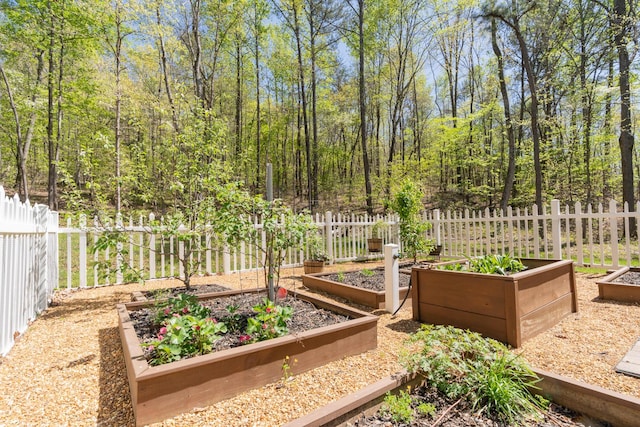 view of yard with fence and a garden