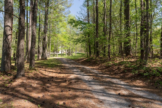 view of road