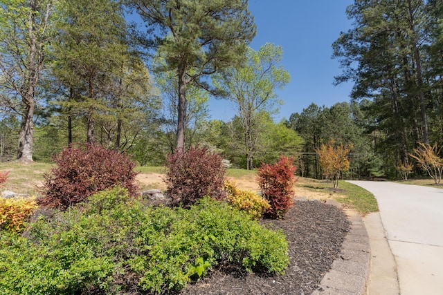view of home's community