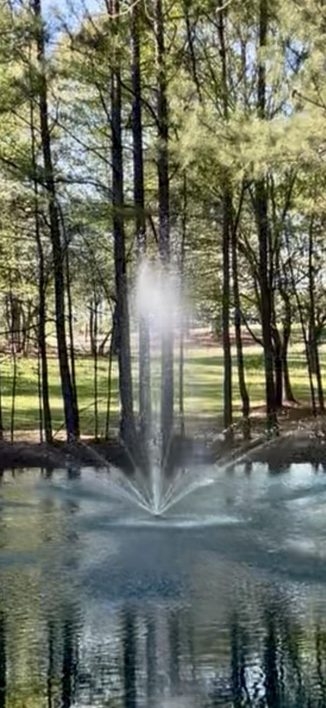 view of water feature