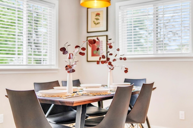 dining space with a wealth of natural light