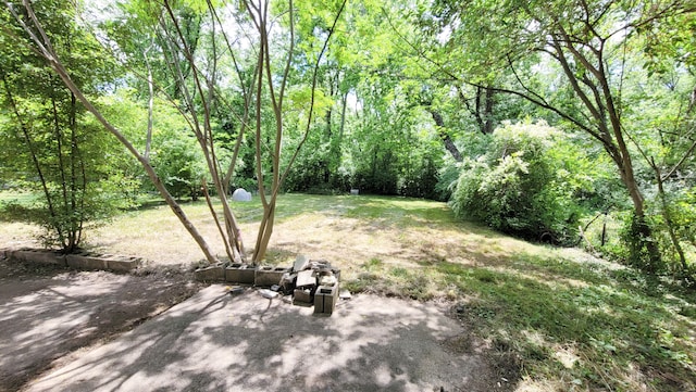 view of yard featuring a wooded view and a patio