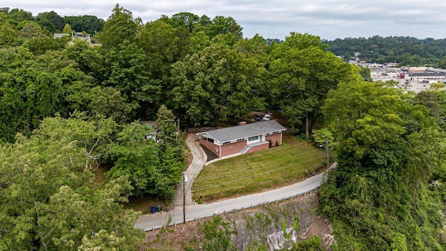 3818 Granada Dr, Chattanooga, TN 37411 - view of property location featuring a forest