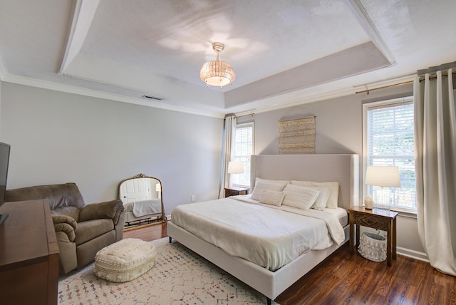 204 Stonecrest Cir, Ringgold, GA 30736 - bedroom featuring a tray ceiling, multiple windows, and wood finished floors