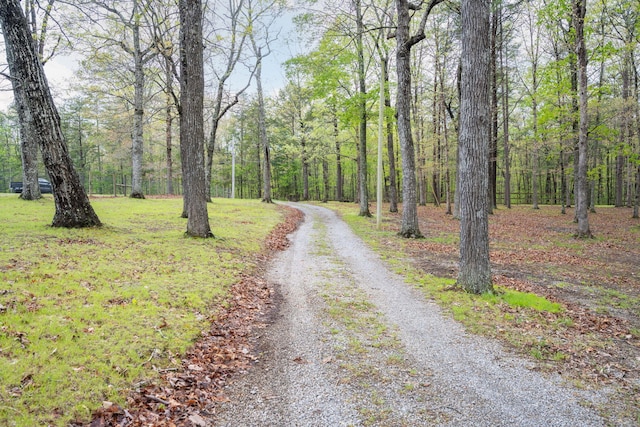 view of street with a view of trees