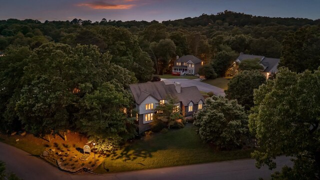 9240 Shay Cv, Ooltewah, TN 37363 - view of subject property featuring a heavily wooded area
