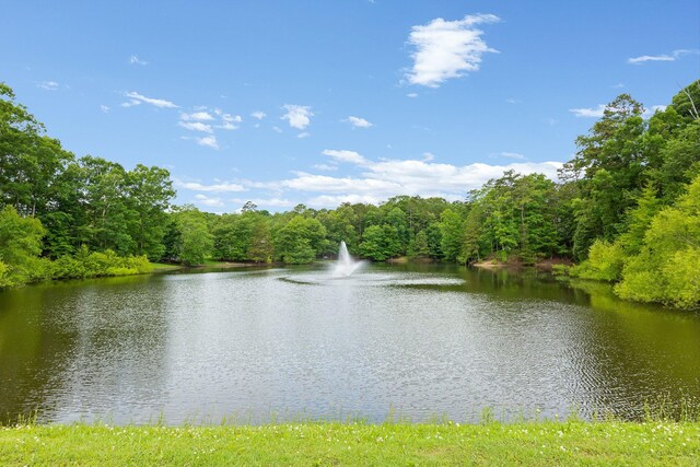 9240 Shay Cv, Ooltewah, TN 37363 - water view featuring a forest