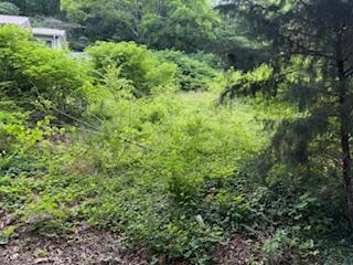 00 Wheeler Ave, Chattanooga, TN 37404 - photo 2