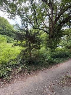 00 Wheeler Ave, Chattanooga, TN 37404 - photo 1