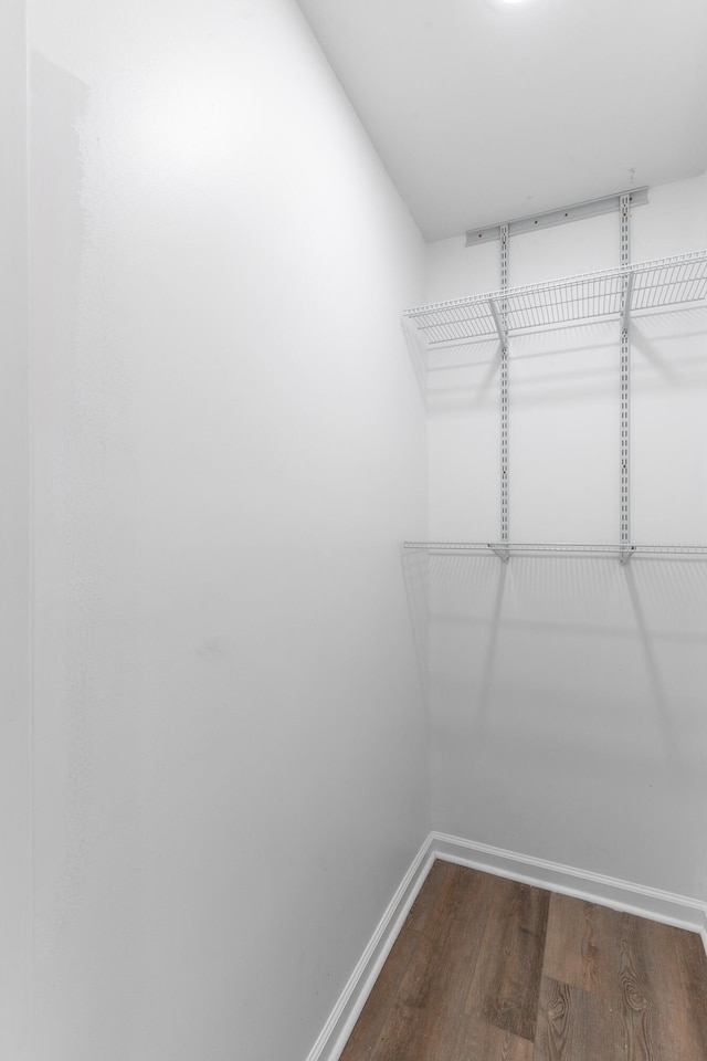 spacious closet with dark wood-style flooring
