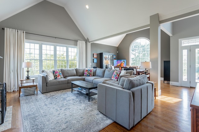 living area featuring high vaulted ceiling, baseboards, and wood finished floors