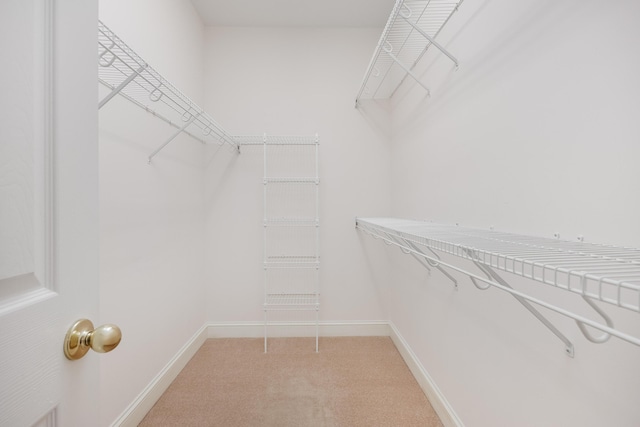walk in closet with light carpet
