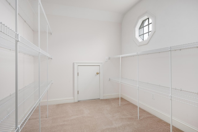 spacious closet with carpet flooring