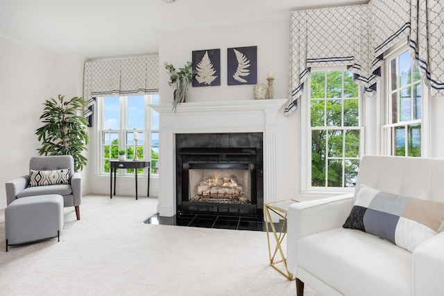 living area featuring a tile fireplace, a healthy amount of sunlight, crown molding, and carpet floors