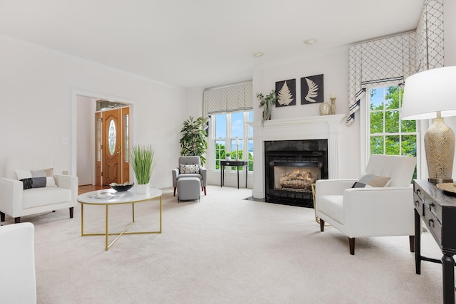 carpeted living room featuring a fireplace with flush hearth and crown molding