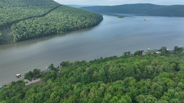 - Mullins Cove Road, Whitwell, TN 37397