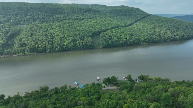 - Mullins Cove Road, Whitwell, TN 37397