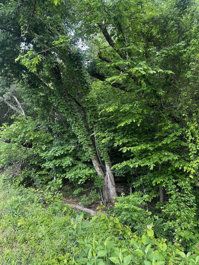- Mullins Cove Road, Whitwell, TN 37397