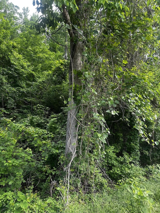 - Mullins Cove Road, Whitwell, TN 37397