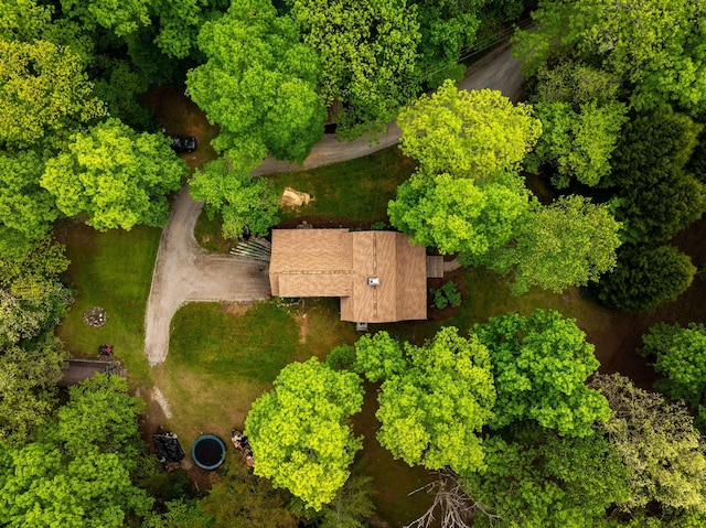 bird's eye view