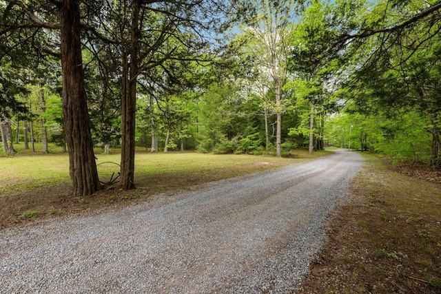 view of street featuring a wooded view