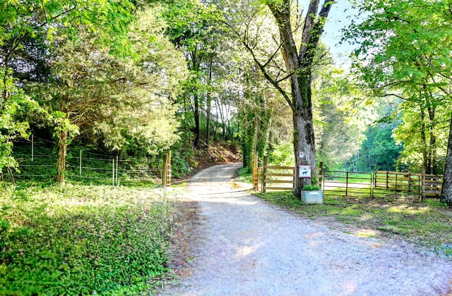 view of street featuring a gated entry and a gate