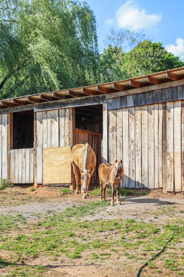 view of horse barn
