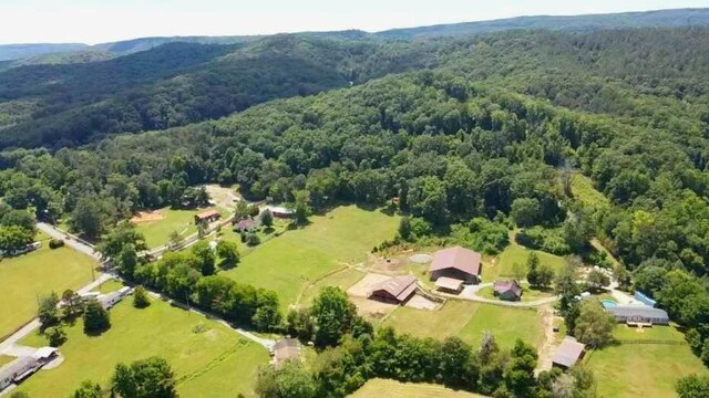 birds eye view of property featuring a view of trees