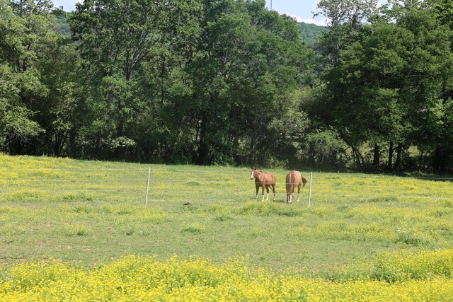 view of yard featuring a rural view