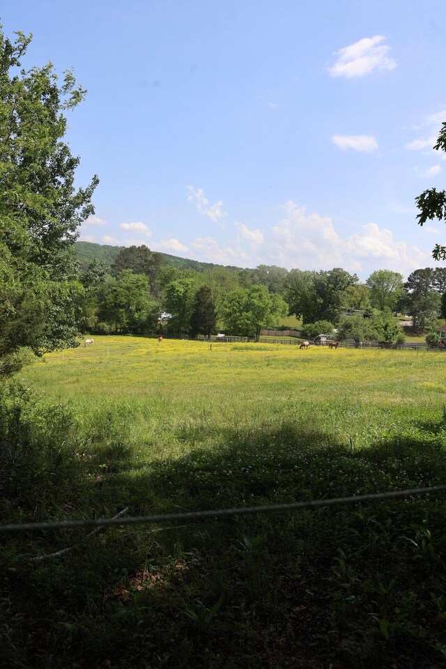 view of yard featuring a view of trees and a rural view