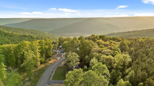 490 Moonlight Ln, Jasper, TN 37347 - view of mountain backdrop featuring a heavily wooded area