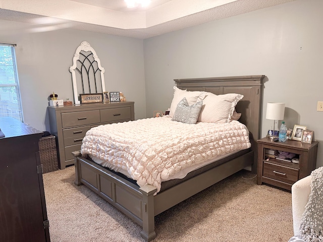 8721 Forest Pond Dr, Harrison, TN 37341 - bedroom with light carpet