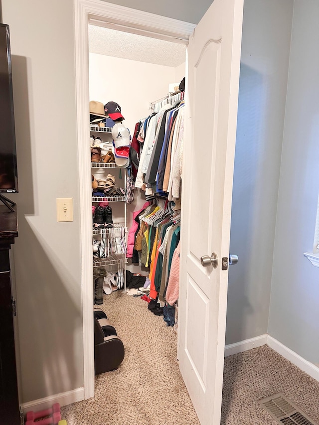 8721 Forest Pond Dr, Harrison, TN 37341 - spacious closet featuring visible vents and carpet flooring