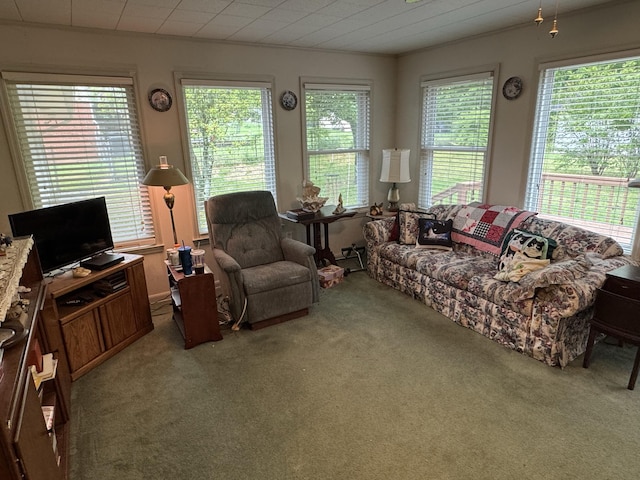 view of carpeted living area