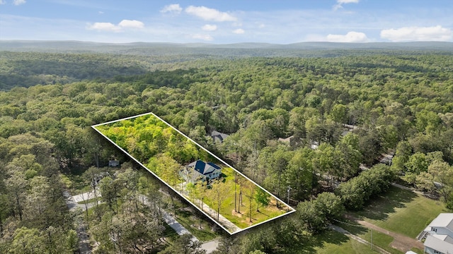 aerial view with a view of trees