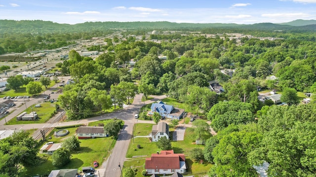 2917 Crescent Cir, Chattanooga, TN 37407 - birds eye view of property featuring a wooded view and a mountain view