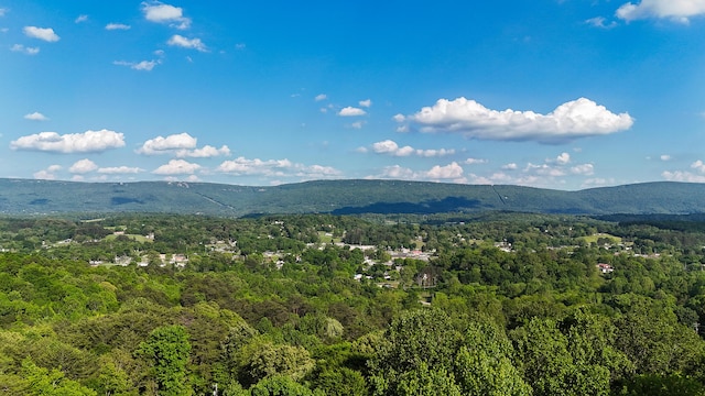 mountain view featuring a view of trees