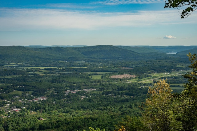 property view of mountains with a view of trees