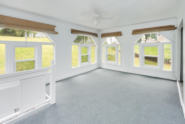 1852 N Prairie Cir, Hixson, TN 37343 - unfurnished sunroom with carpet floors and baseboards