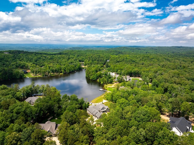 10690 Lost Lake Cir, Ooltewah, TN 37363 - photo 86