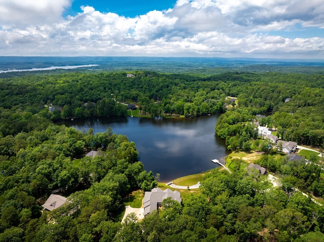 10690 Lost Lake Cir, Ooltewah, TN 37363 - photo 88