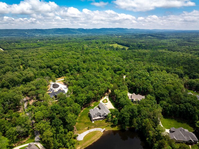 10690 Lost Lake Cir, Ooltewah, TN 37363 - photo 89