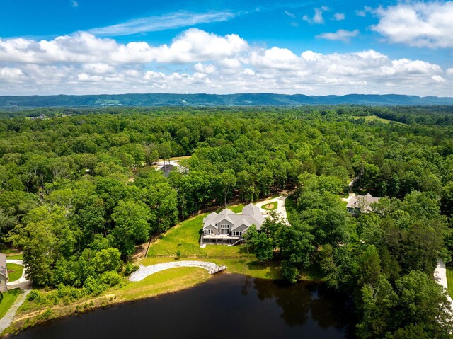 10690 Lost Lake Cir, Ooltewah, TN 37363 - photo 91