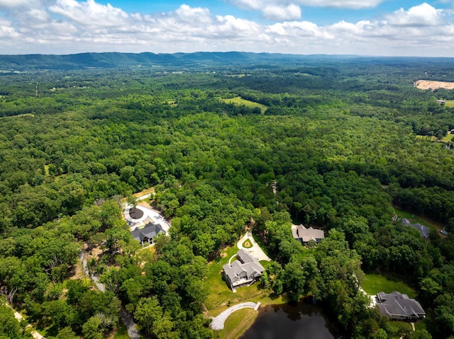 10690 Lost Lake Cir, Ooltewah, TN 37363 - photo 93