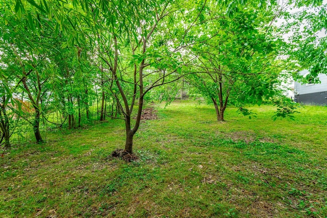 1812 John Ross Rd, Chattanooga, TN 37412 - view of green lawn