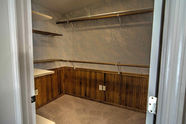 walk in closet with carpet flooring