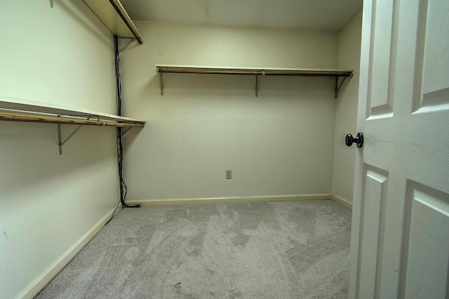 walk in closet with carpet
