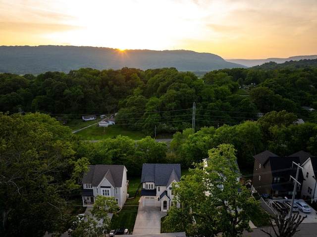 613 Ladd Ave, Chattanooga, TN 37405 - bird's eye view featuring a view of trees and a mountain view